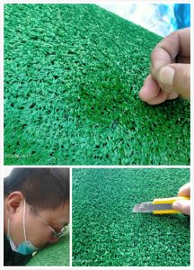 Simulation Lawn Quality Control Inspection Service