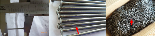 Nail inspection：Galvanized Concrete Nails,Plastic Head Stainless Steel Nail,Wire Coil Nails