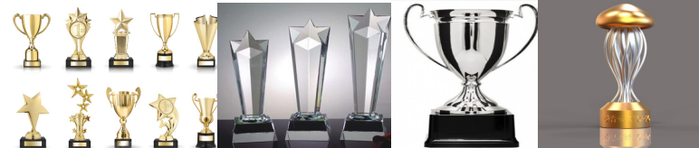Trophy inspection-Trophy quality control:Metal-resin-glass 