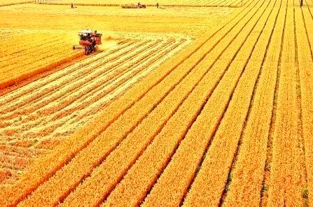 The international competitiveness of China's agricultural products