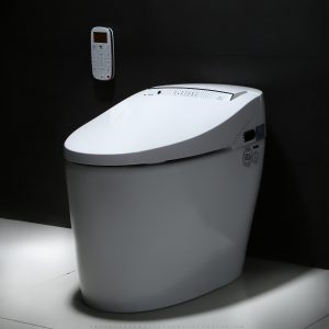 Toilet inspection function test standard