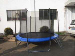 Trampoline On-site Inspection