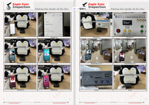Dongguan Bluetooth Speaker Inspection Service Quality QC Check